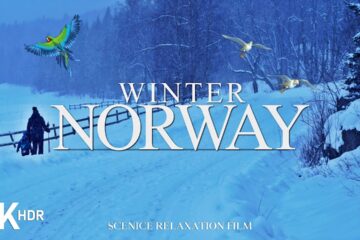 Winter in Norway with Relaxing Music | 4K scenic Relaxation Film