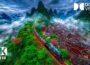 Mesmerizing Hidden World in 8K HDR | Dolby Vision™