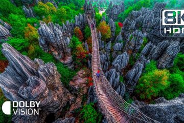 Magnificent Hidden Paradise in 8K HDR | Dolby Vision™ Magnificent Hidden Paradise in 8K HDR | Dolby Vision™